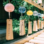 pexels-wenchengphoto-8803580